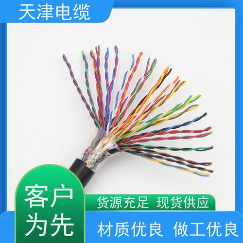 天津 制造 长途对称电缆 zr heyflt23 信号传输用电缆