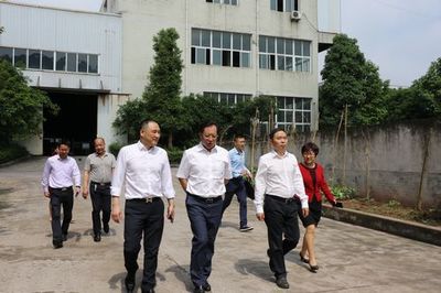 重庆市委主委沈金强深入璧山民建会员企业调研