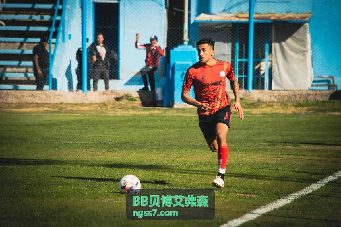 BB贝博艾弗森供应链决策系统